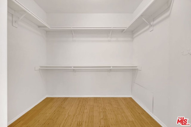 spacious closet with hardwood / wood-style floors