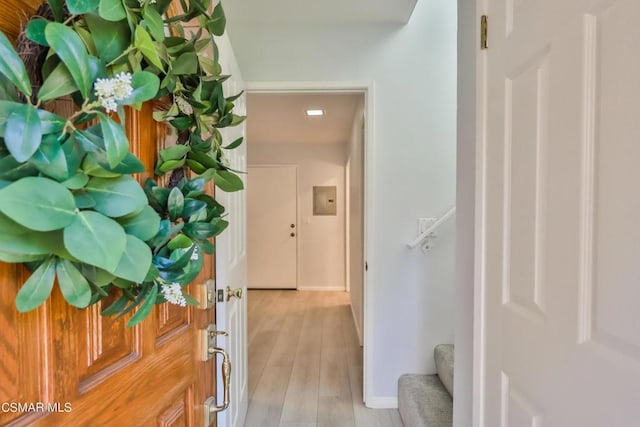 hallway featuring electric panel and light hardwood / wood-style floors