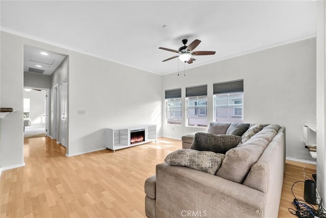 living room featuring ceiling fan, ornamental molding, and light wood-type flooring