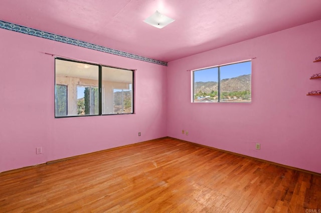 spare room featuring wood-type flooring