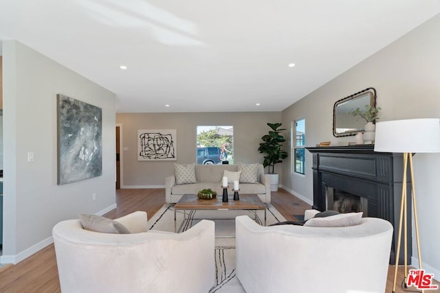 living room featuring light hardwood / wood-style flooring