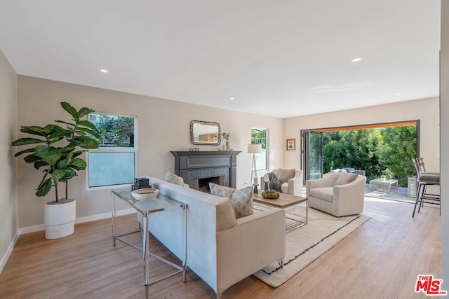 living room with light hardwood / wood-style floors and a fireplace