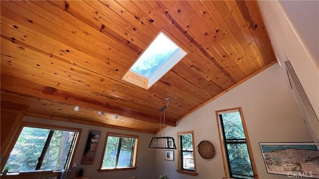 room details with a skylight and wood ceiling