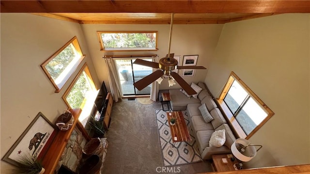 carpeted living room featuring wood ceiling and a high ceiling