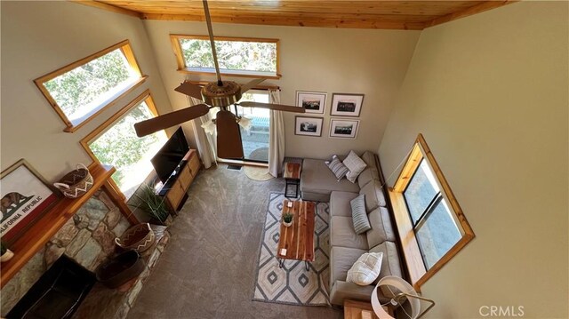 carpeted living room featuring a fireplace, a towering ceiling, and wooden ceiling