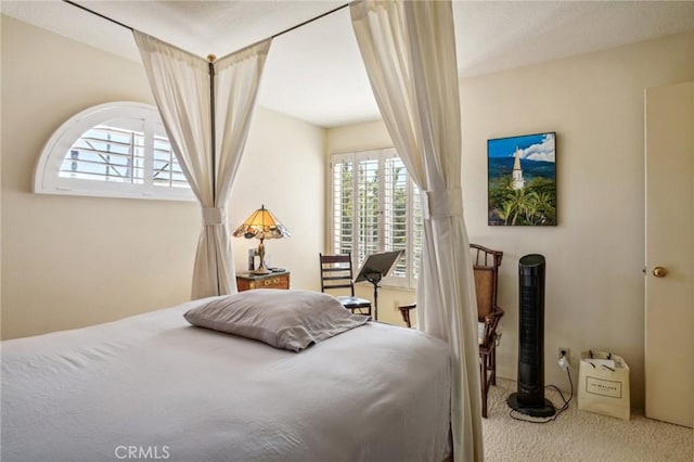 view of carpeted bedroom