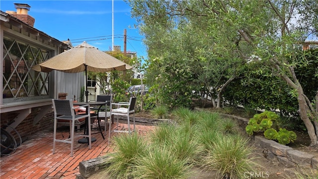 view of yard featuring a patio area