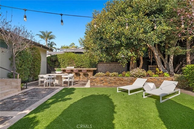 view of yard featuring a patio area