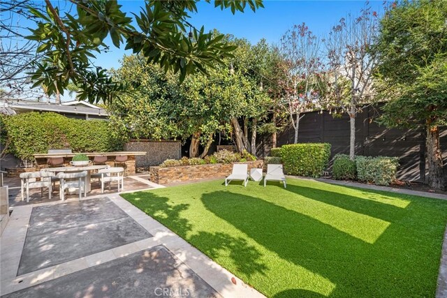 view of yard with a patio area