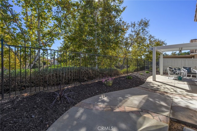 view of yard featuring a patio area