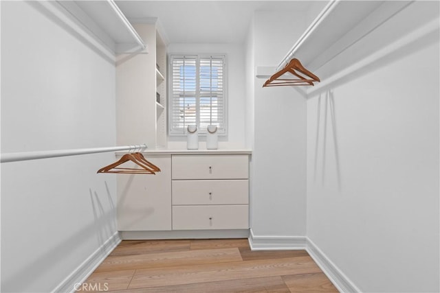 spacious closet with light hardwood / wood-style flooring