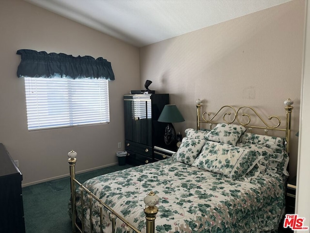 bedroom featuring dark colored carpet