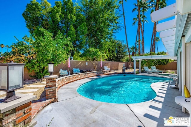 view of pool featuring a patio