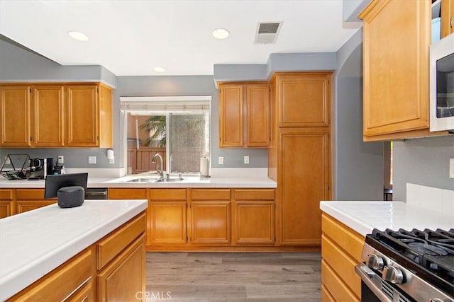 kitchen with light wood-type flooring, sink, and appliances with stainless steel finishes