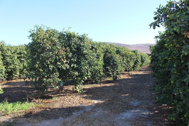 0 Price Rd, Somis, CA 93066