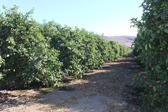 0 Price Rd, Somis, CA 93066