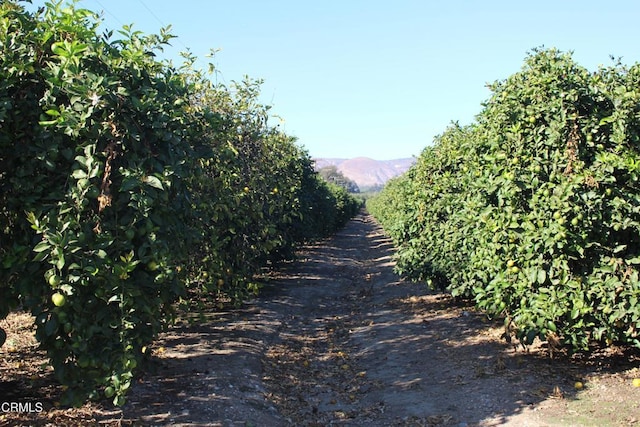 0 Price Rd, Somis, CA 93066