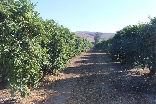 0 Price Rd, Somis, CA 93066