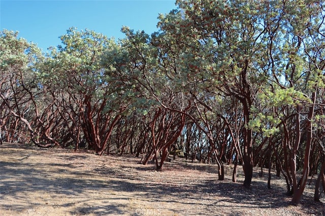 view of nature