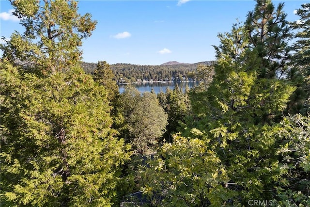 309 Castle Gate Rd, Lake Arrowhead, CA 92352 - water view featuring a forest and a mountainous background