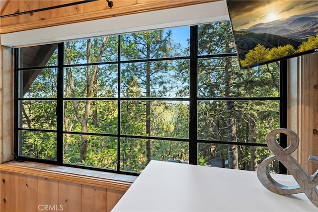 interior details featuring wooden walls