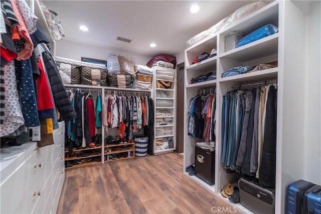 spacious closet with wood-type flooring