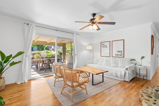 living room featuring ceiling fan, ornamental molding, and light hardwood / wood-style flooring