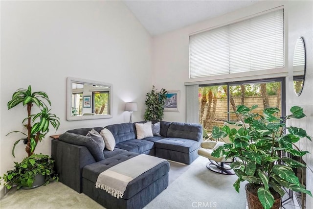 carpeted living room featuring high vaulted ceiling