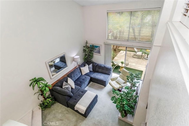 living room with carpet