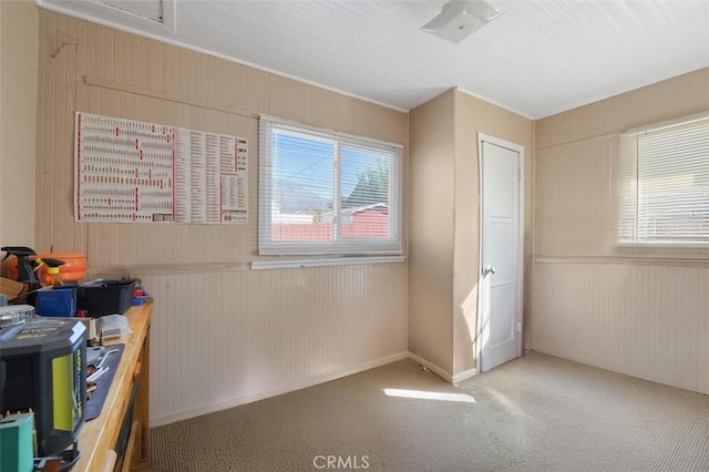 bedroom featuring carpet and multiple windows