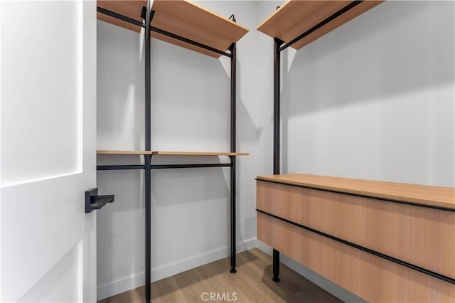 spacious closet featuring light wood-type flooring