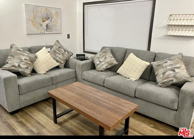 living room with wood-type flooring