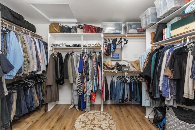 walk in closet with light wood-type flooring