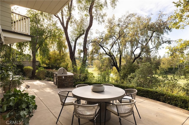 view of patio featuring an outdoor kitchen