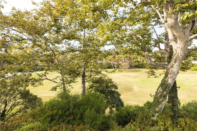 view of landscape