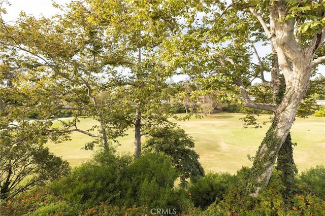 3 Cypress Point Ln, Newport Beach, CA 92660 - view of woods