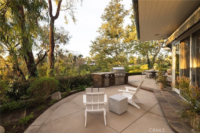 view of patio / terrace featuring grilling area and an outdoor kitchen