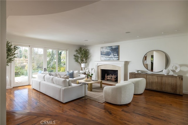 living room with ornamental molding and dark hardwood / wood-style floors