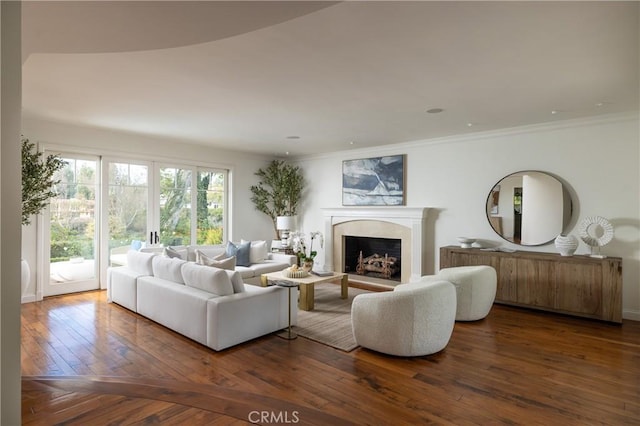 3 Cypress Point Ln, Newport Beach, CA 92660 - living room with a fireplace, dark wood-style flooring, and crown molding