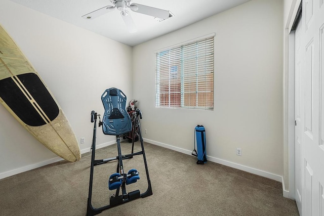 exercise area featuring ceiling fan and carpet floors