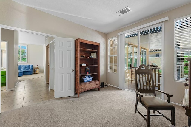 living area with light carpet