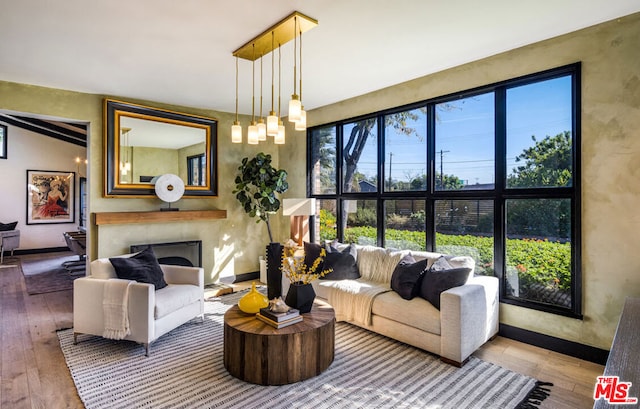 living room featuring hardwood / wood-style floors