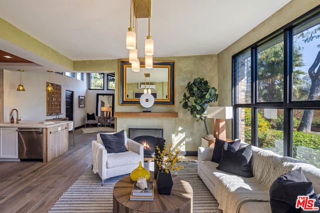 living room featuring hardwood / wood-style flooring, a wealth of natural light, and sink