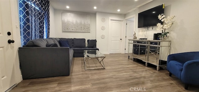 living room with wood-type flooring