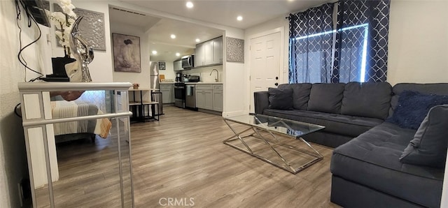 living room featuring light hardwood / wood-style floors and sink