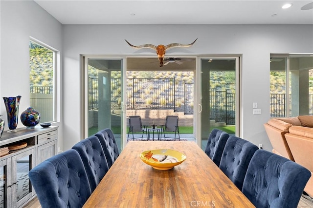 dining room with ceiling fan and a healthy amount of sunlight