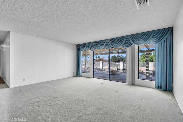 carpeted spare room featuring a textured ceiling and plenty of natural light