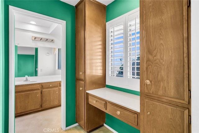 mudroom featuring light carpet and sink