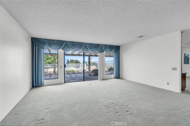 carpeted empty room featuring a textured ceiling and plenty of natural light