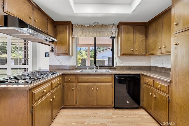 kitchen featuring black dishwasher, sink, light hardwood / wood-style flooring, and plenty of natural light